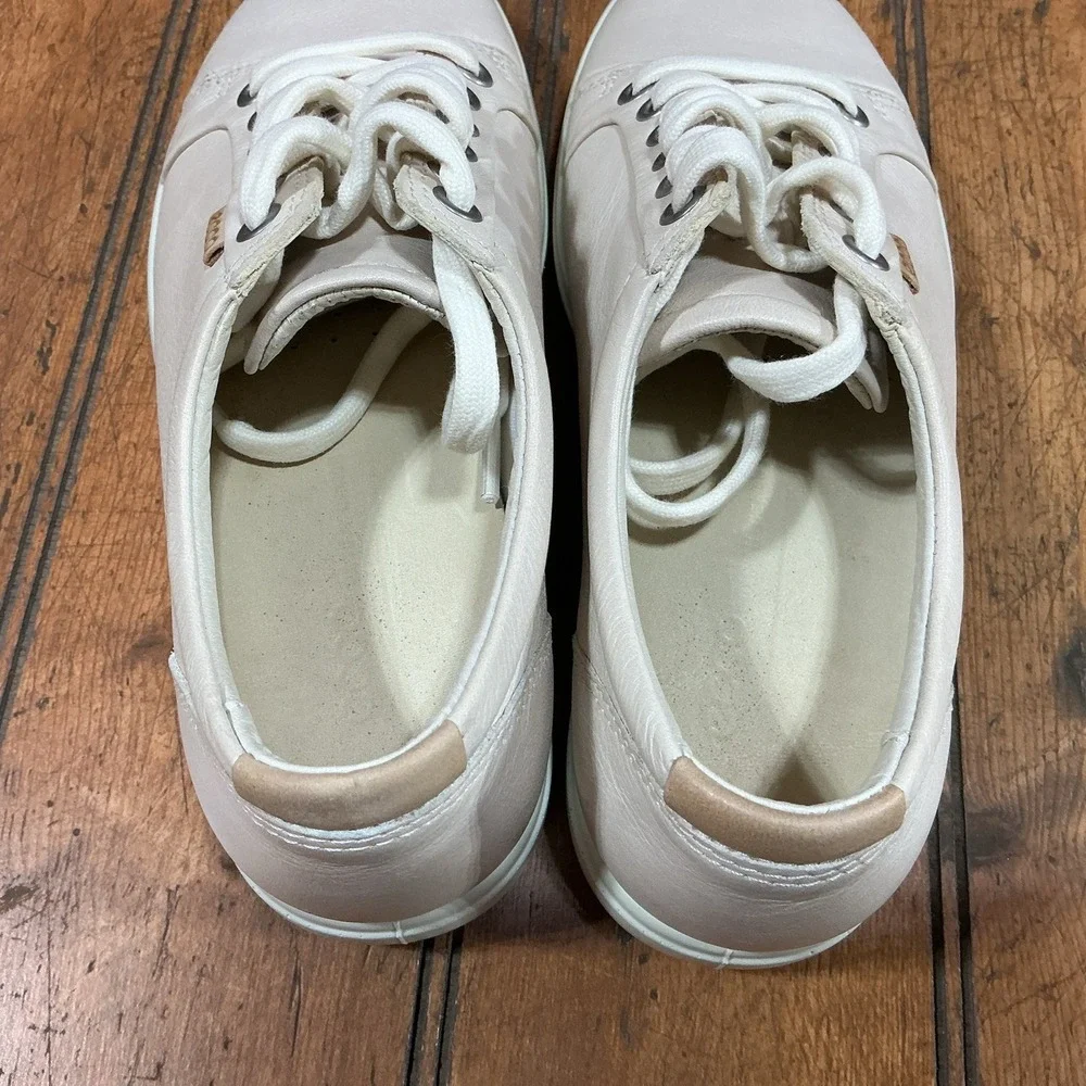 Ecco excellent perfect